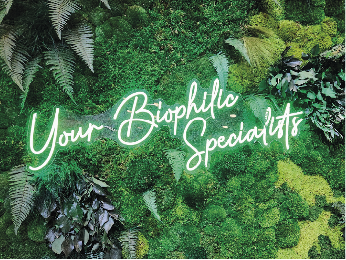 Design biophilique